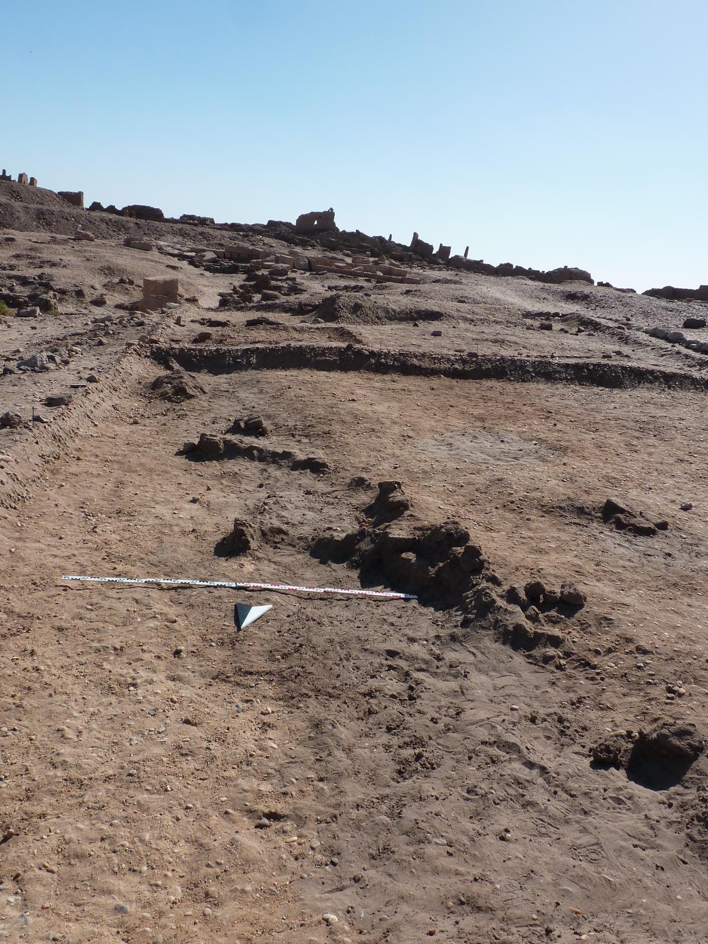 Section of the eastern wall of large mud brick structure at SAV1E. Note the circular depression west of the wall – they also showed up at the geophysical survey’s map and are possibly storage pits?