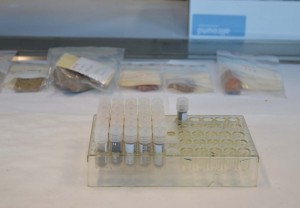 Some of the prepared samples.