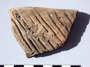 Fragment of Marl "bread tray" from Elephantine.
