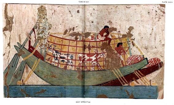 Davies & Gardiner, The tomb of Huy, Theban Tomb series vol. 4, pl. 48: Boat with cattle from Nubia, being brought to Egypt.