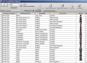 Work in progress: the database of SAV1 East and SAV1 West.