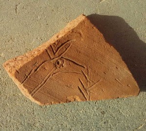 The adorable sherd from SAV1 East with an incised zoomorphic motif.