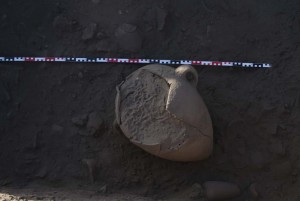 Imported amphora, set with other vessels close to the northern wall of feature 15.