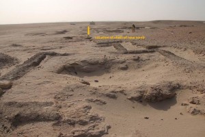 Location of new tomb 26 (looking from pyramid tomb 6 towards the west).