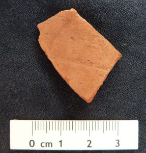 A "golden" sherd...